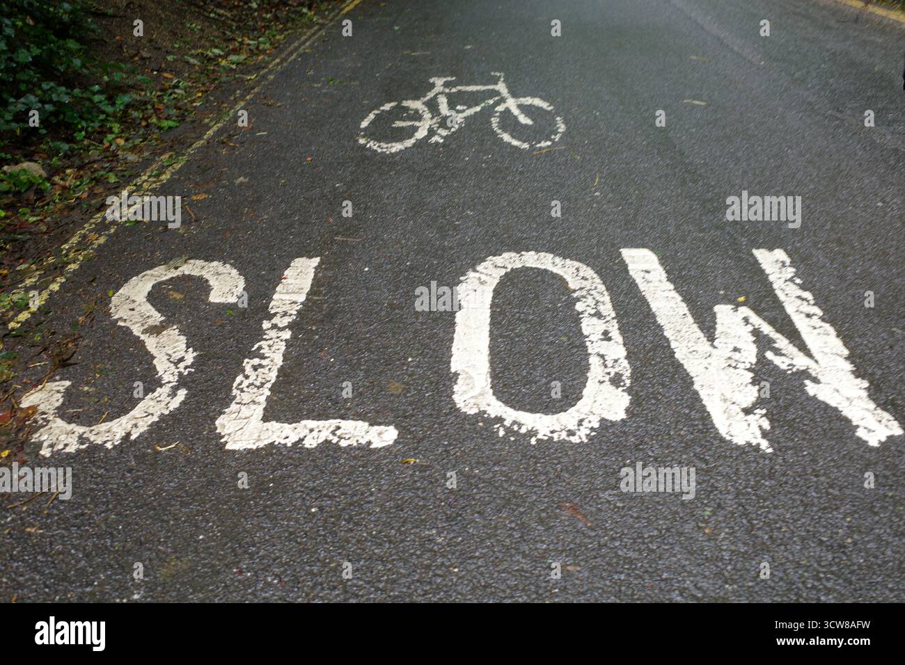 Le lettrage blanc sur l'asphalte indique « LENT » avec un symbole de vélo au-dessus, indiquant une route combinée avec une piste cyclable. Les marquages sont usés. Photo i Banque D'Images