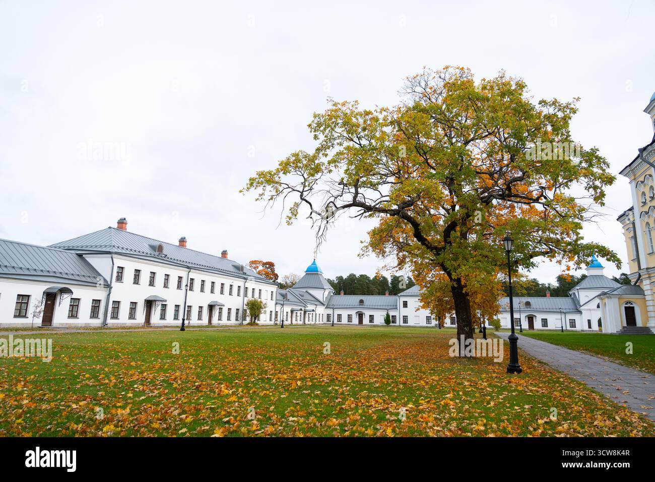 Une cour spacieuse d'un monastère historique en automne, avec un grand arbre montrant un feuillage doré et le sol couvert de feuilles mortes Banque D'Images