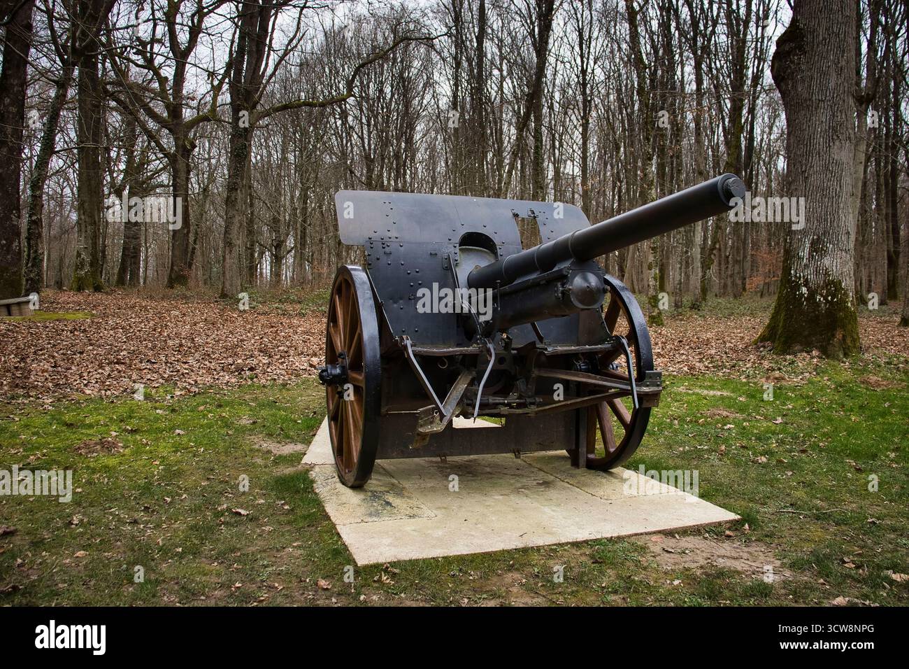 Belleau Wood, France - 20 février 2022 : devant un canon dans le bois Belleau par une journée nuageuse d'hiver en France. Banque D'Images