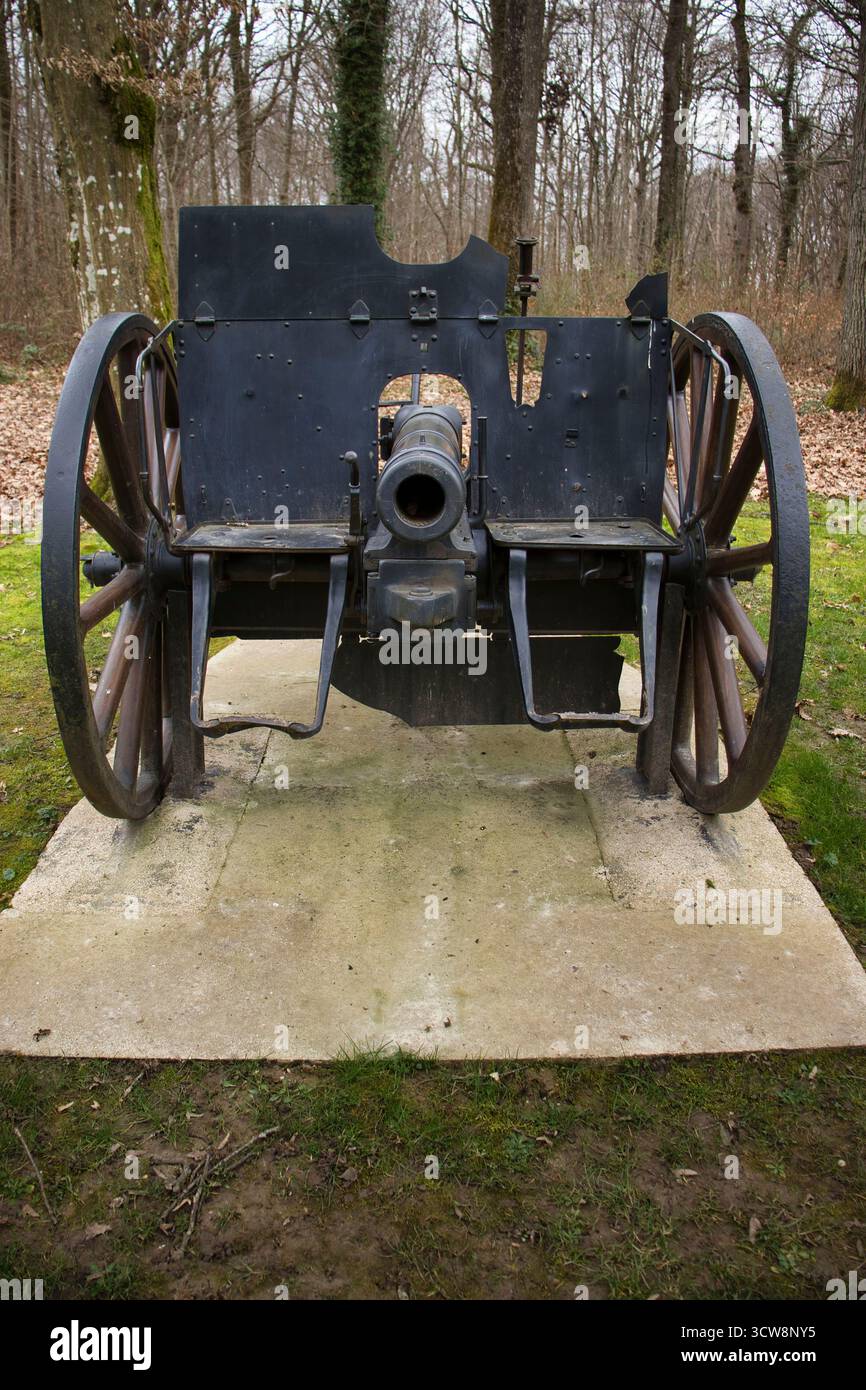 Belleau Wood, France - 20 février 2022 : canon dans Belleau Wood par une journée nuageuse d'hiver en France. Banque D'Images