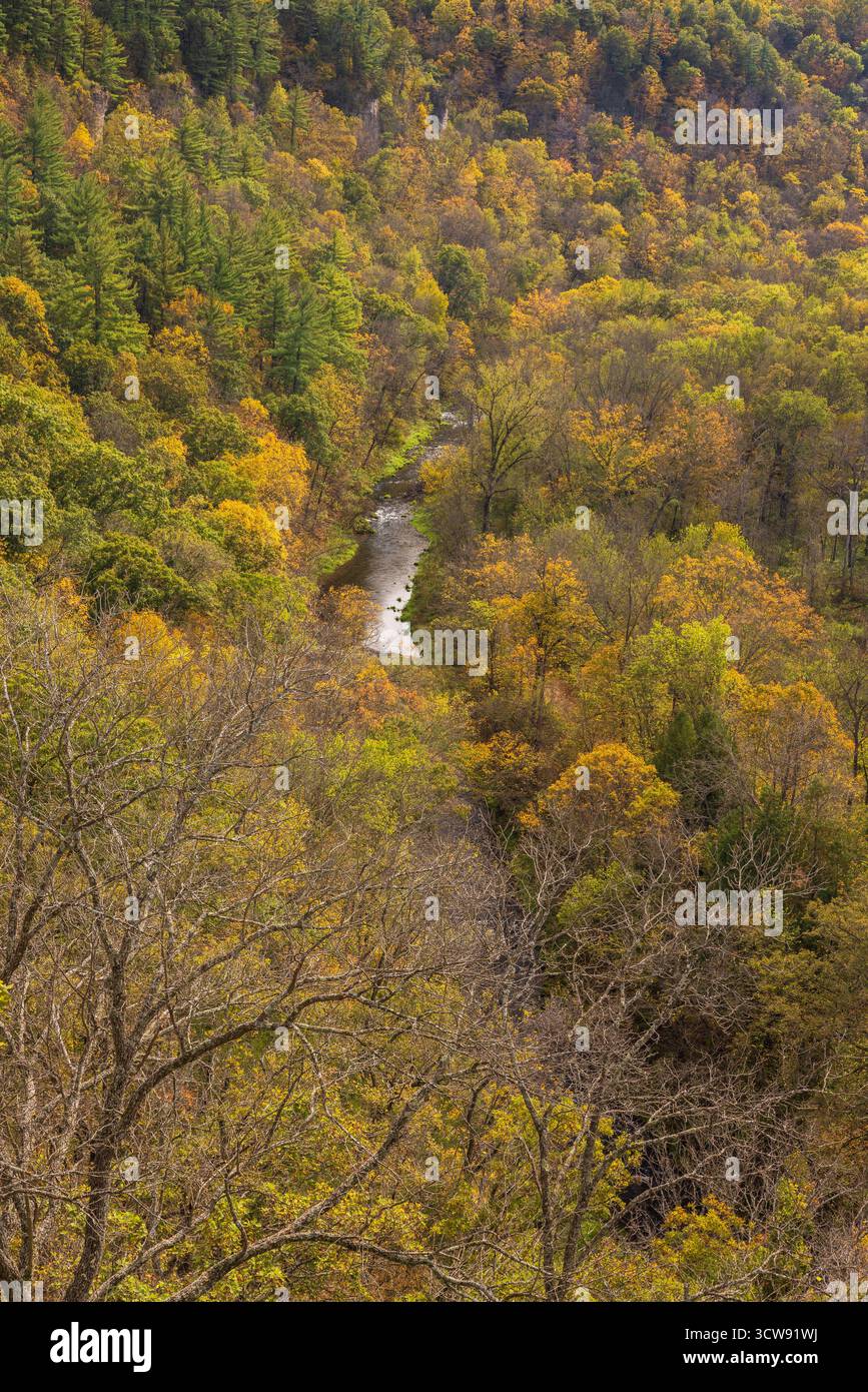 Une vue pittoresque du paysage d'automne depuis une vue sur les collines couvertes de forêt avec une rivière en contrebas. Banque D'Images