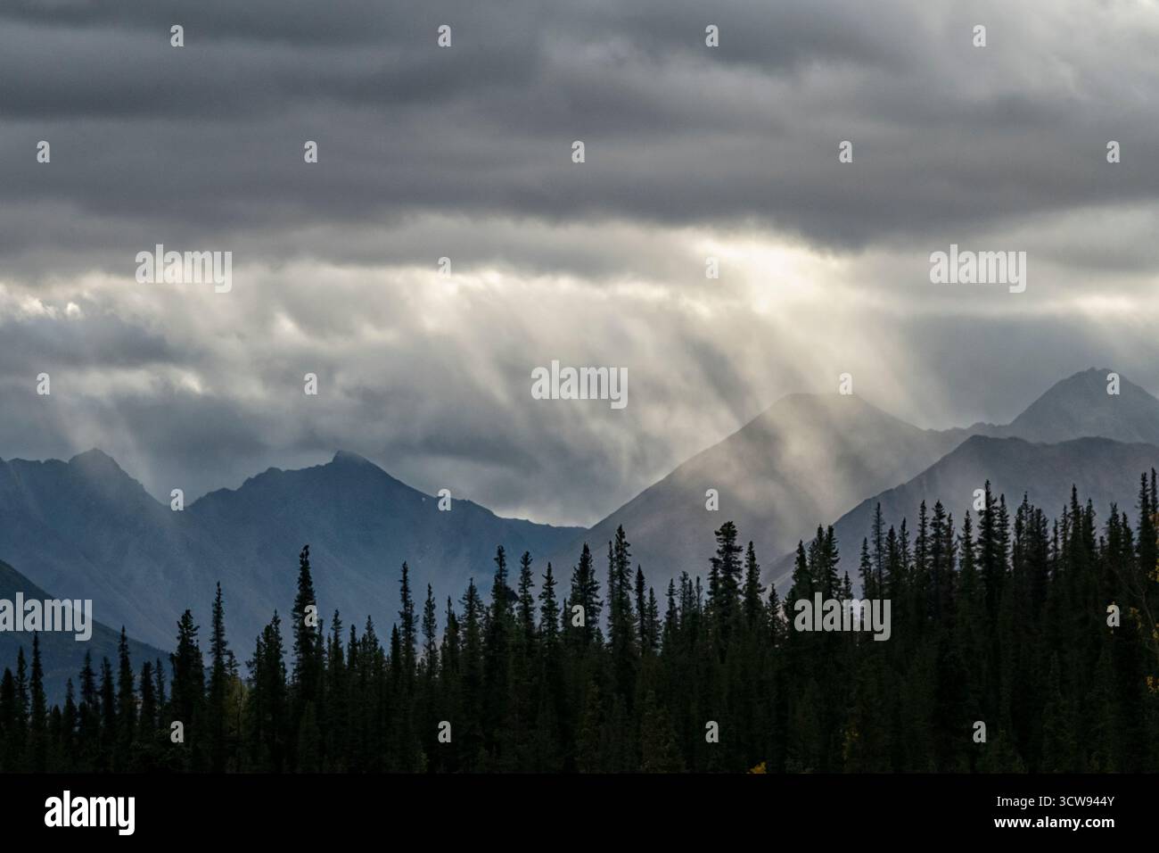 Amérique du Nord ; États-Unis ; Alaska ; Alaska Range Mountains ; faisceaux lumineux; tempête au-dessus de Ravine Creek Banque D'Images