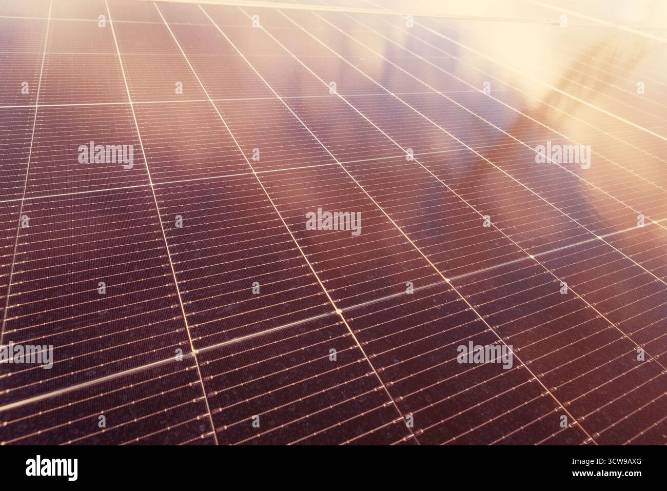 Vue rapprochée des panneaux solaires photovoltaïques dans la lumière chaude du soir reflétant le coucher de soleil doré Banque D'Images