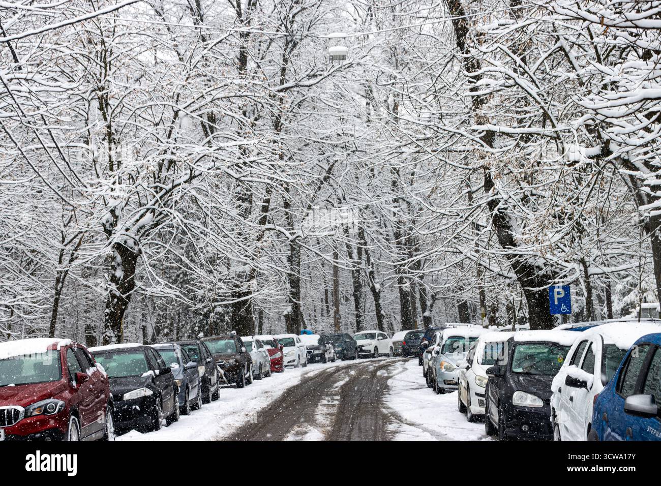 Voitures garées sur le bord de la route par une journée d'hiver enneigée. Route couverte de neige Banque D'Images