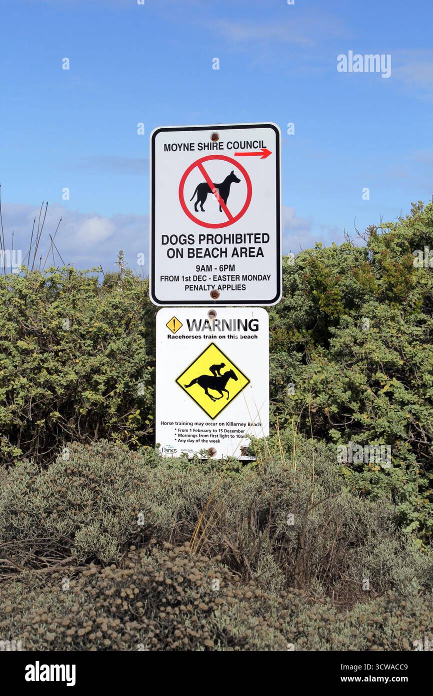 Killarney Beach, Victoria, Australie - 19 avril 2024 : panneaux interdisant les chiens et avertissant les chevaux de course parmi les plantes côtières contre un ciel bleu Banque D'Images