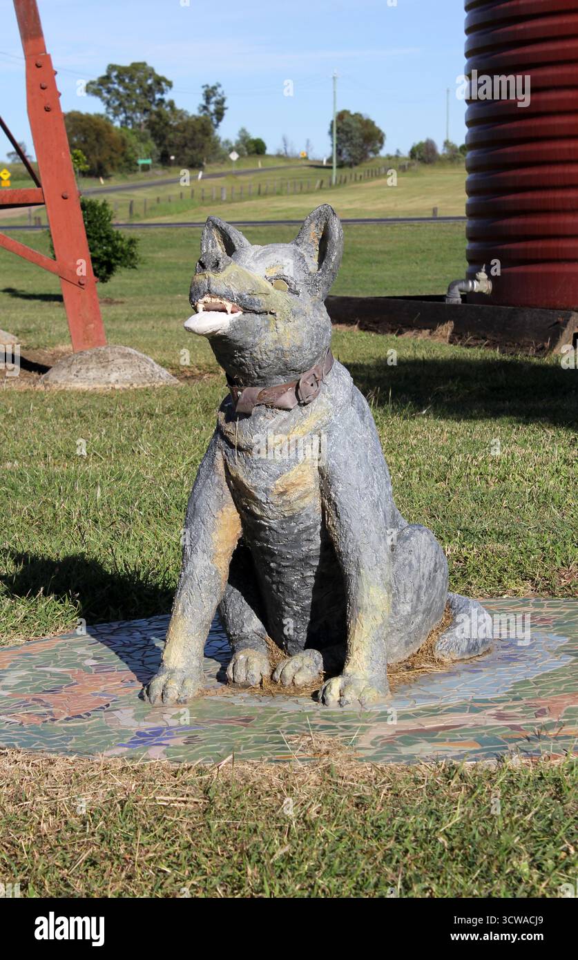 Wandoan, Queensland, Australie - 25 avril 2024 : sculpture de Mick the Cattle Dog, qui a sauvé la vie de son propriétaire, au Wandoan Visitor information cent Banque D'Images