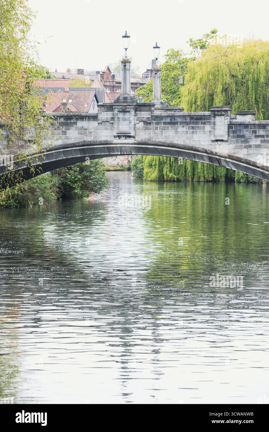 Willow Trees près du pont Whitefriars et de la rivière Wensum à Norwich, Angleterre Banque D'Images