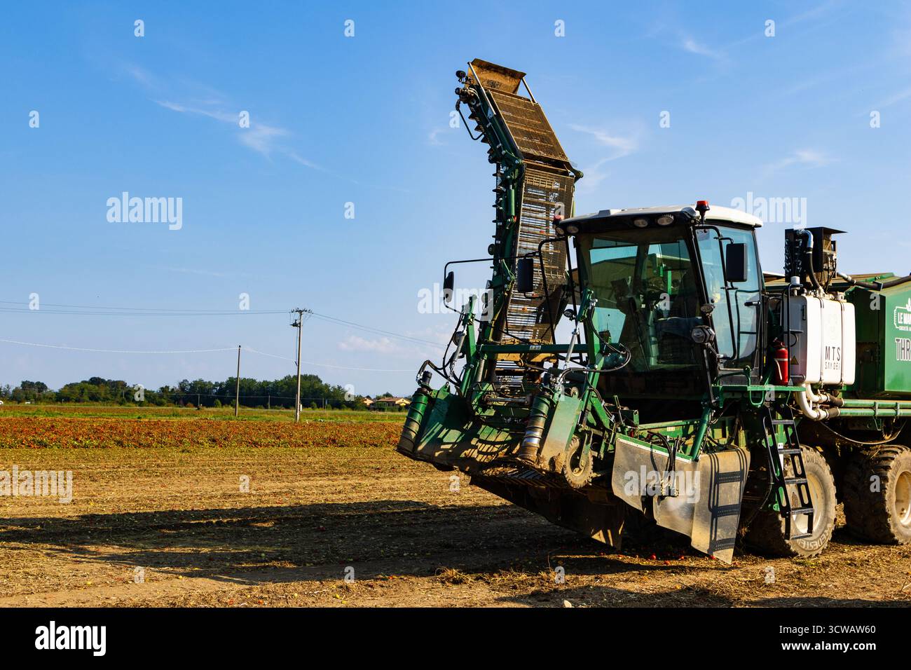 Technologie moderne des machines agricoles de tomate récoltant les récoltes avec tracteur classique. Banque D'Images