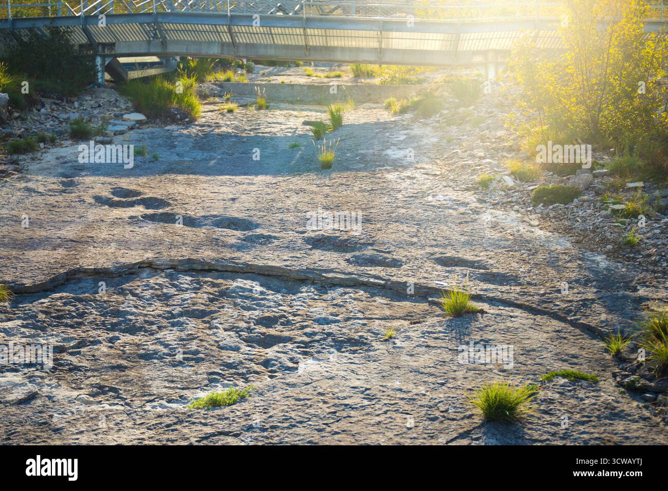 Empreintes fossiles de dinosaures antiques à Rovereto, Trentin, Italie. Coucher de soleil avec lumière solaire. Banque D'Images