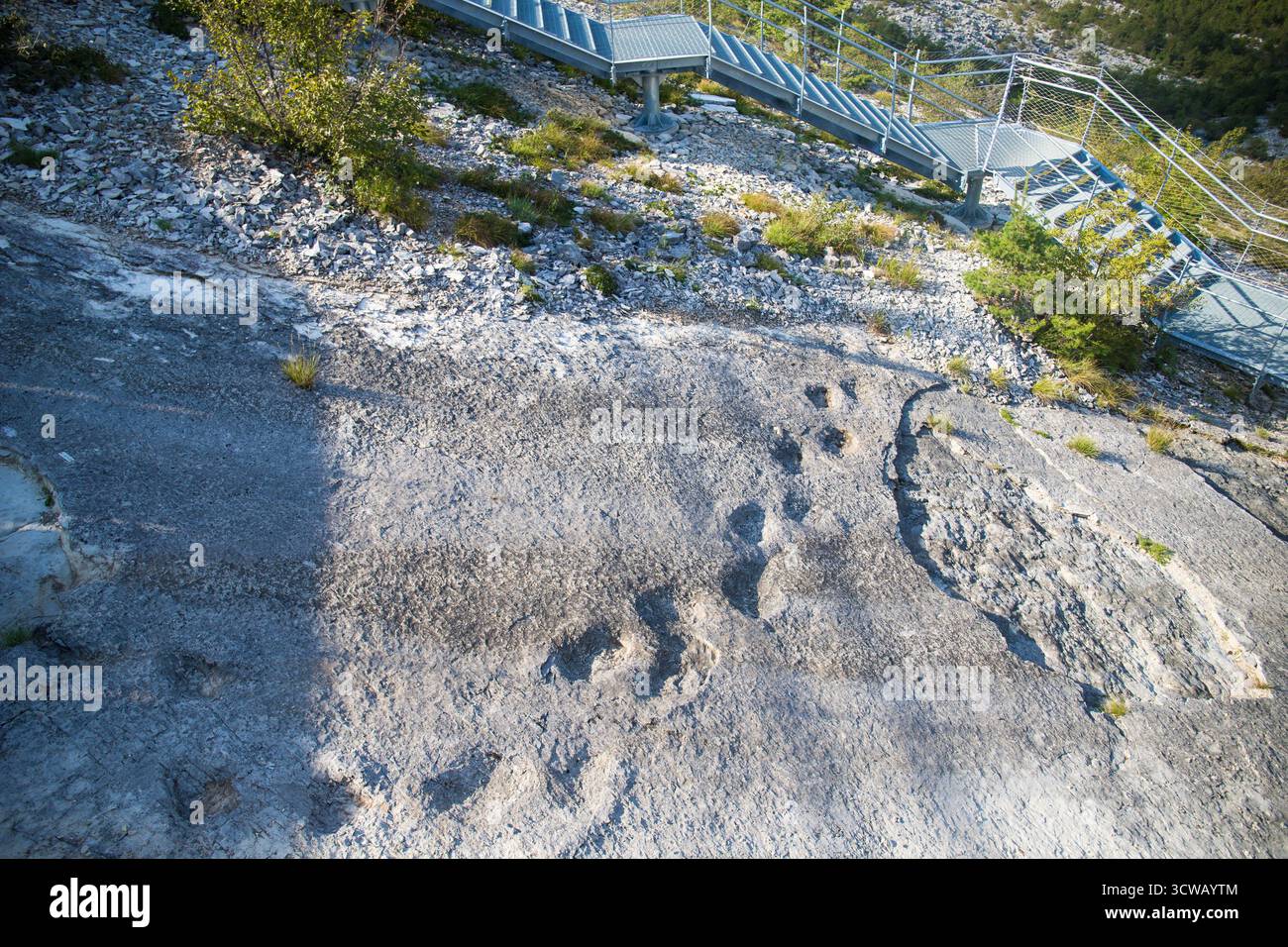 Empreintes fossiles de dinosaures antiques à Rovereto, Trentin, Italie. Banque D'Images