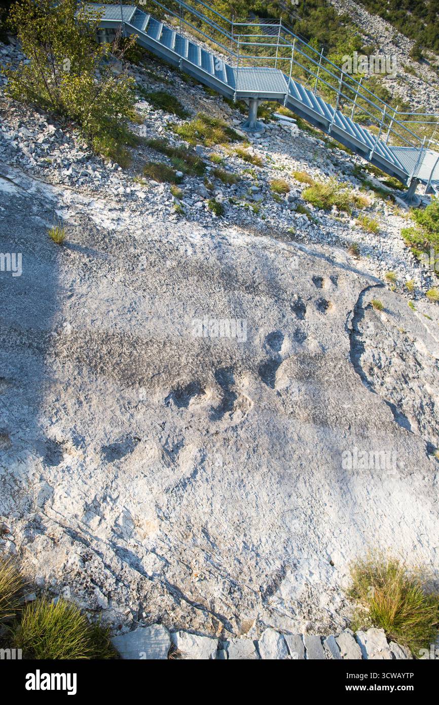 Empreintes fossiles de dinosaures antiques à Rovereto, Trentin, Italie. Prise de vue verticale. Banque D'Images