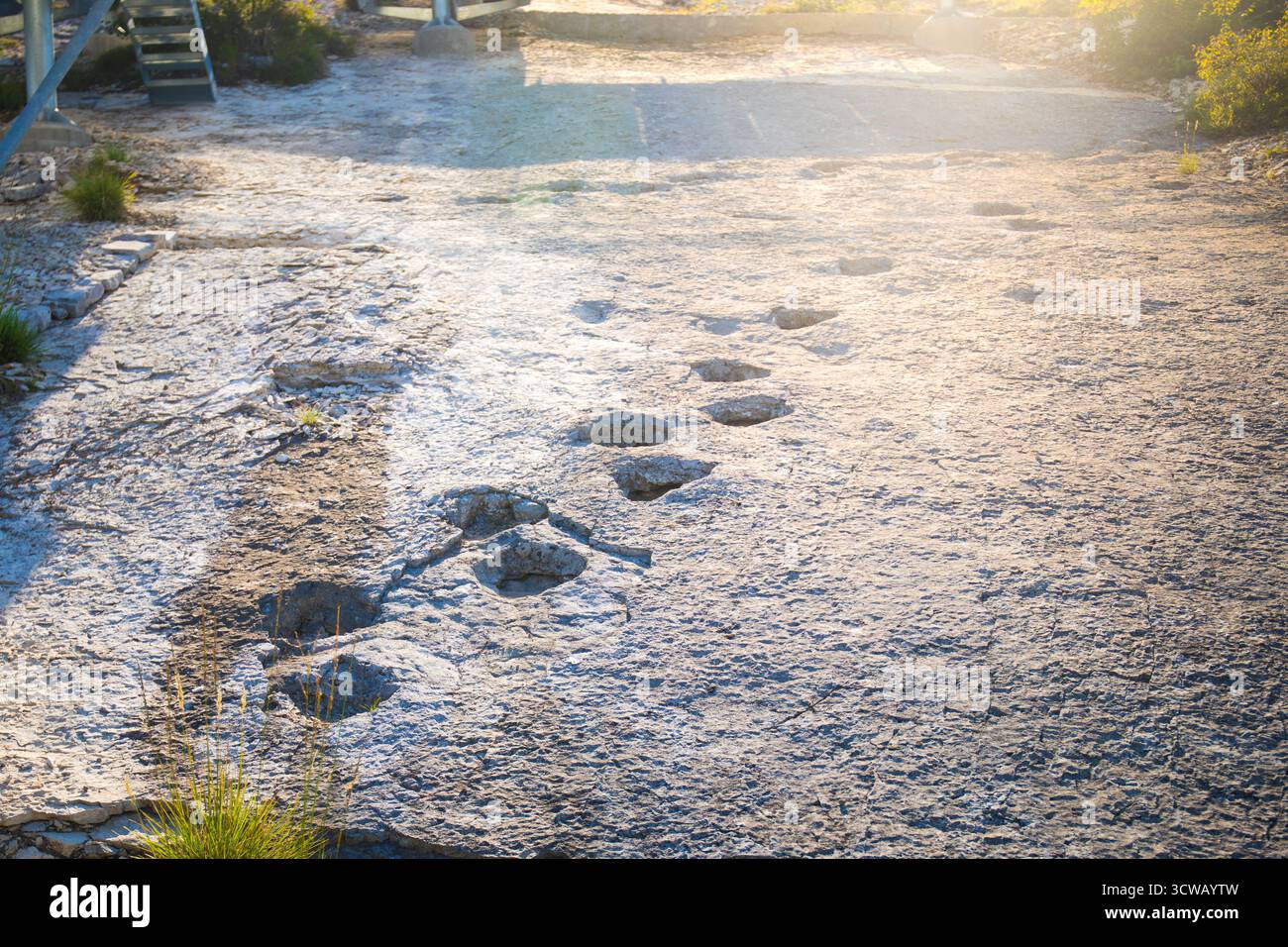 Empreintes fossiles de dinosaures antiques à Rovereto, Trentin, Italie. Coucher de soleil avec lumière solaire. Banque D'Images