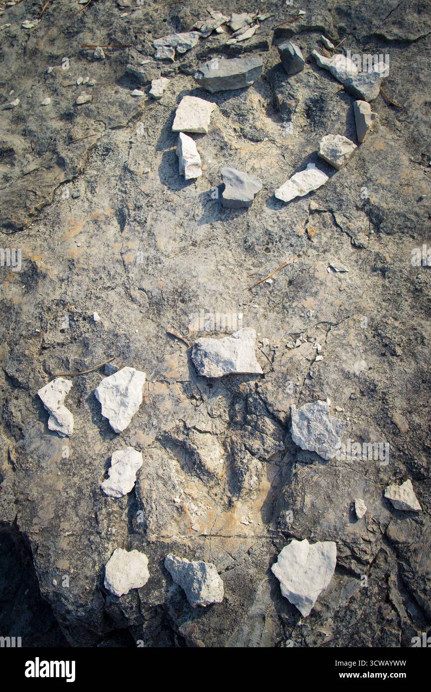 Empreintes carnivores à trois doigts sur le site des empreintes fossiles de dinosaures situé à Rovereto, Trentin, Italie. Banque D'Images