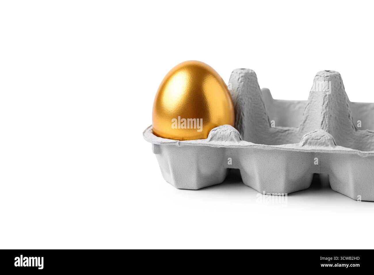 Un oeuf doré brillant assis à l'intérieur d'un carton d'oeufs en carton ordinaire, représentant l'unicité, la valeur élevée, l'investissement financier, ou des idées remarquables dans une mini Banque D'Images
