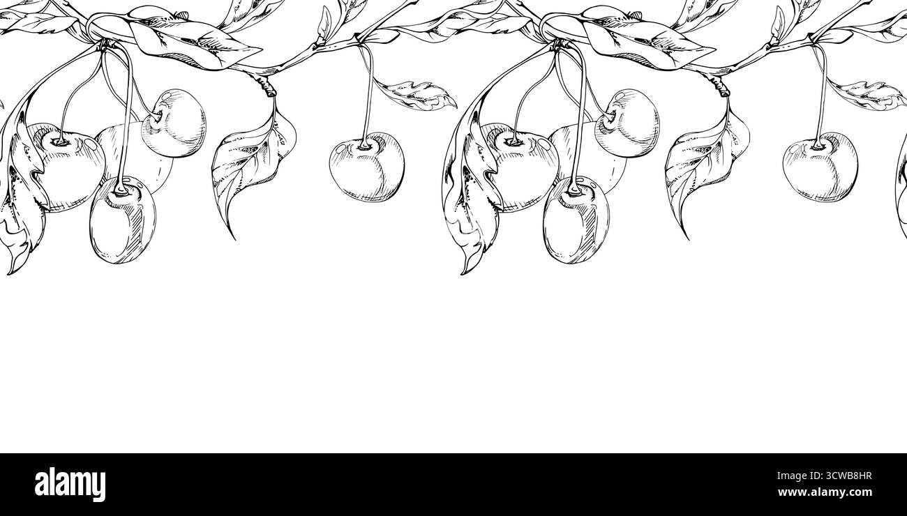 Cerise de ligne aigre douce avec des feuilles de plantes, baie de jardin dans des groupes sur des branches encre vectorielle dessinée à la main. Illustration de guirlande de bannière sans couture, pour Illustration de Vecteur Cerise de ligne aigre douce avec des feuilles de plantes, baie de jardin dans des groupes sur des branches encre vectorielle dessinée à la main. Illustration de guirlande de bannière sans couture, pour Illustration de Vecteur