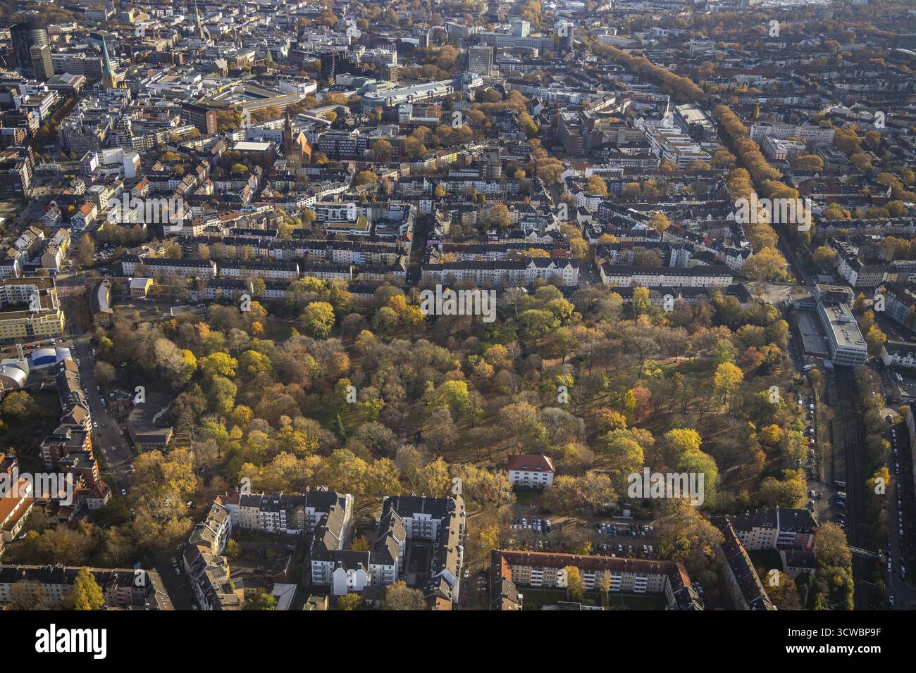Vue aérienne, Westpark avec feuilles d'automne, Golden October à Westpark, Rittershausstrasse, Green Lung, Dorstfelder Bruecke, Dortmund, région de la Ruhr, Nord Banque D'Images