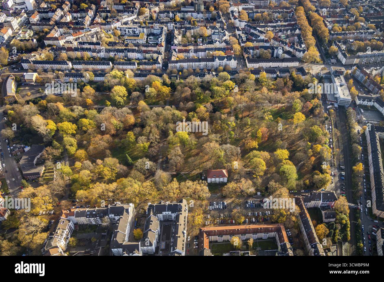 Vue aérienne, Westpark avec feuilles d'automne, Golden October à Westpark, Rittershausstrasse, Green Lung, Dorstfelder Bruecke, Dortmund, région de la Ruhr, Nord Banque D'Images