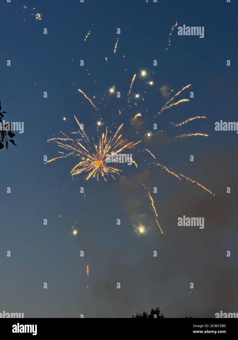 Feux d'artifice dans le ciel nocturne Banque D'Images