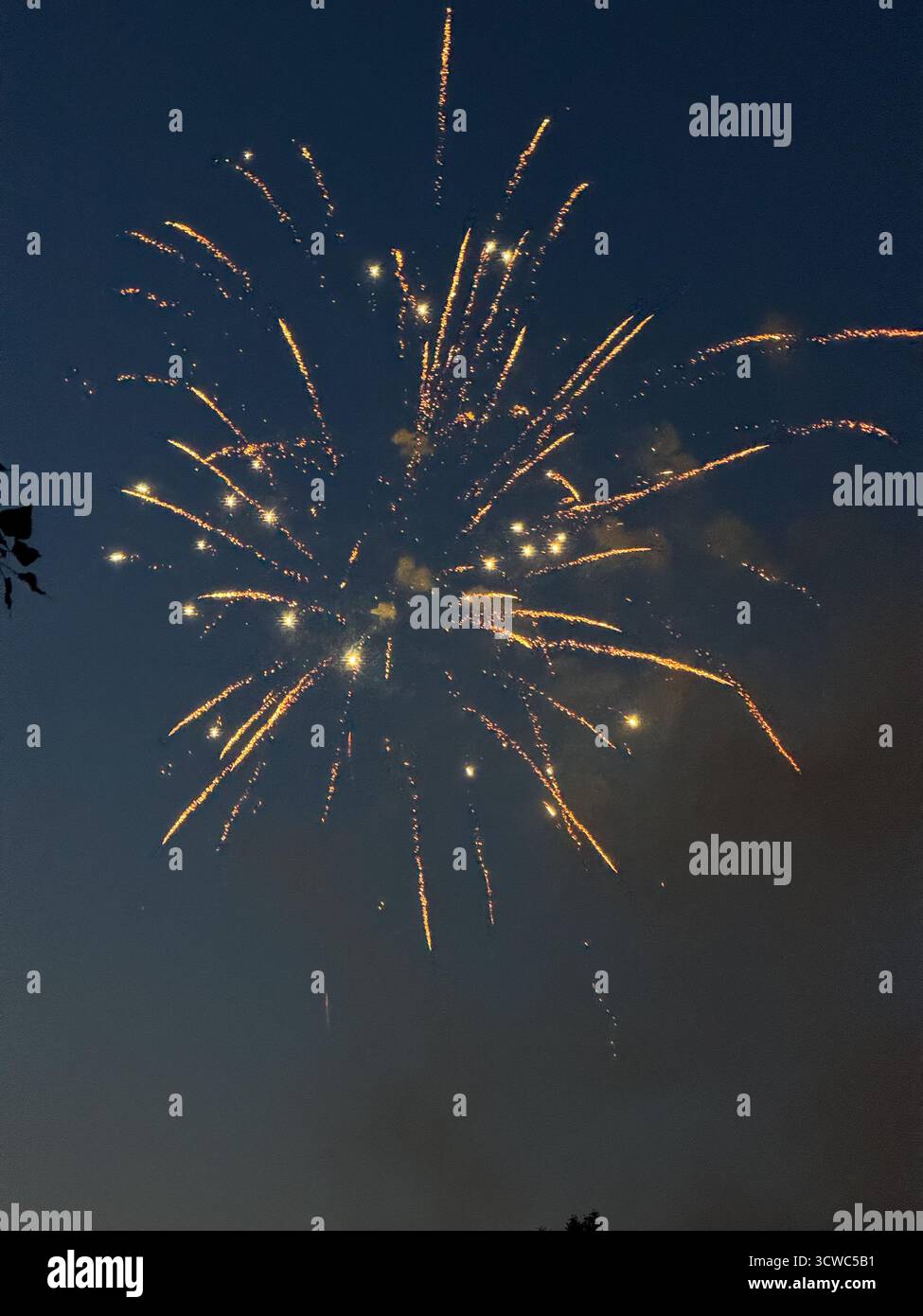 Feux d'artifice dans le ciel nocturne Banque D'Images