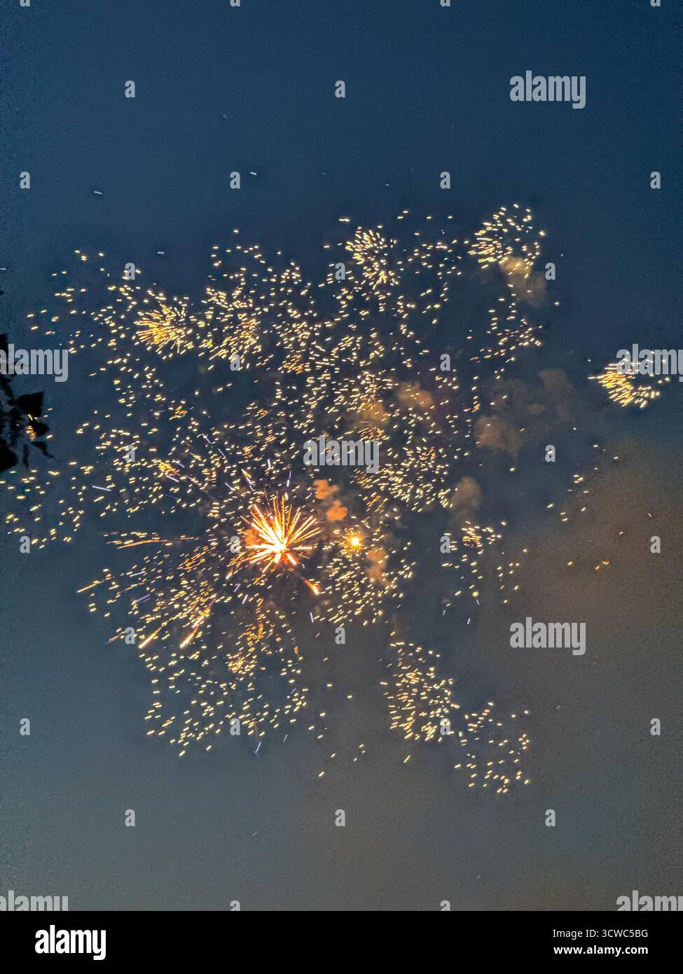 Feux d'artifice dans le ciel nocturne Banque D'Images