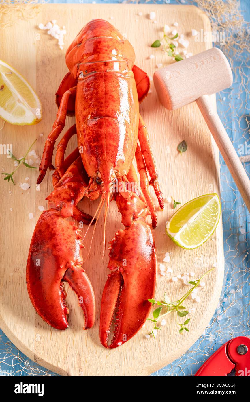Homard rouge cuit à la vapeur comme repas de fruits de mer frais. Fruits de mer délicieux et traditionnels. Banque D'Images
