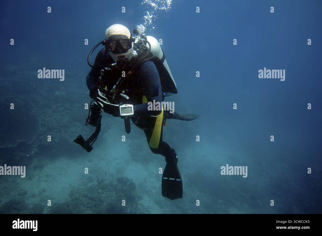 Plongeur avec caméra, Pintuyan, île de Panaon, Leyte méridionale, Philippines Banque D'Images