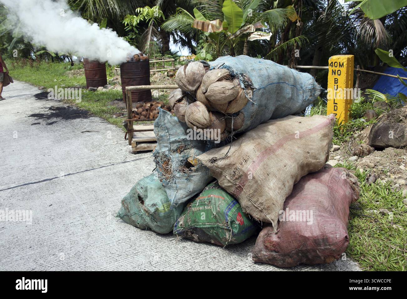 Les coquilles de noix de coco sont transformées en charbon de bois par le bord de la route, Pintuyan, île de Panaon, Leyte méridionale, Philippines Banque D'Images