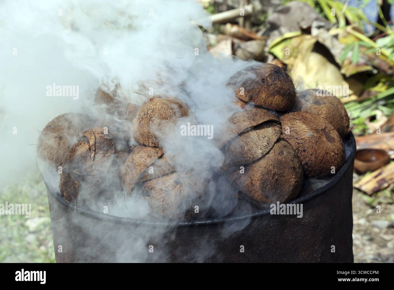 Les coquilles de noix de coco sont transformées en charbon de bois par le bord de la route, Pintuyan, île de Panaon, Leyte méridionale, Philippines Banque D'Images