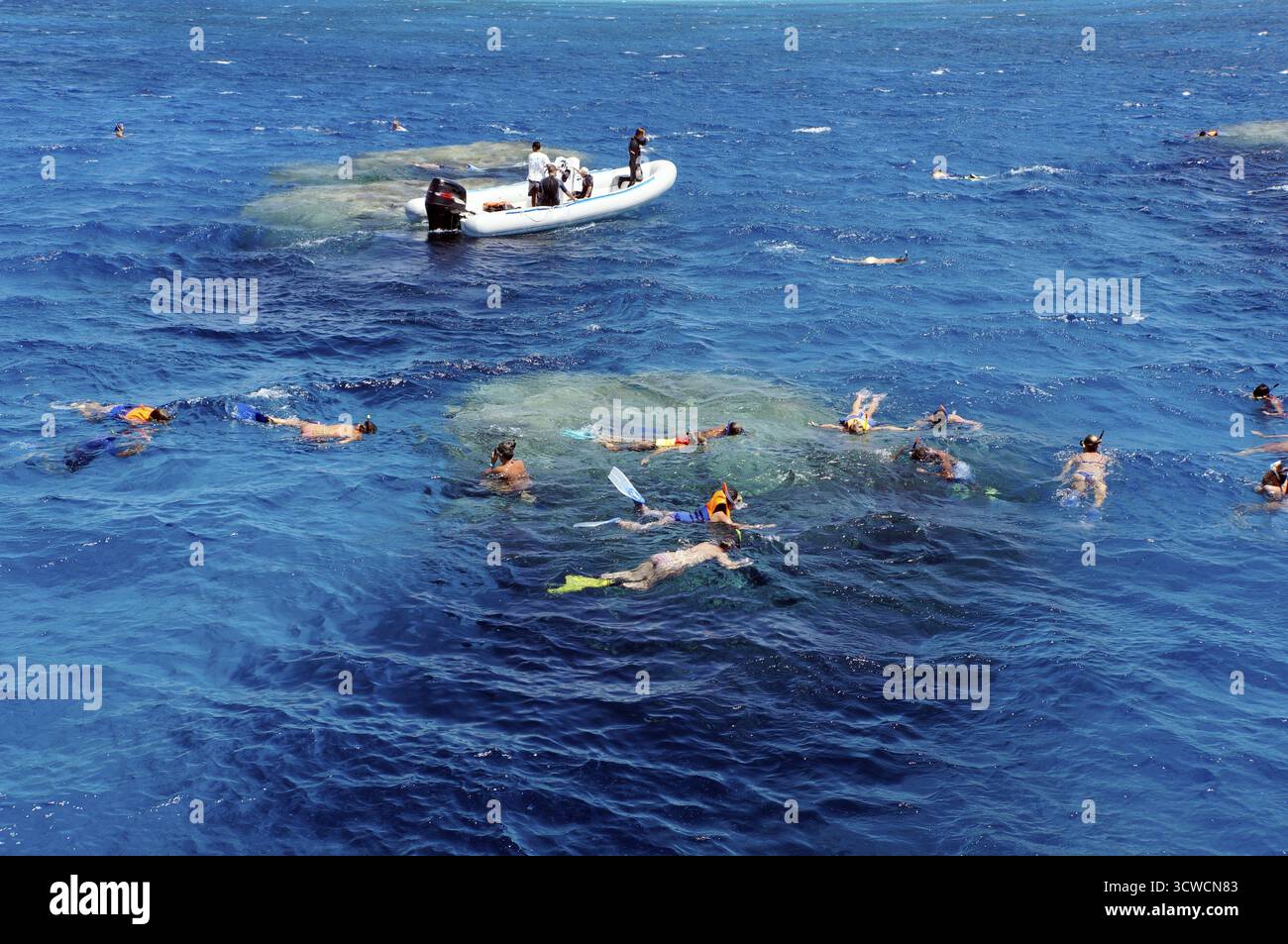 Plongée avec tuba sur le récif corallien, Safaga, Egypte Banque D'Images