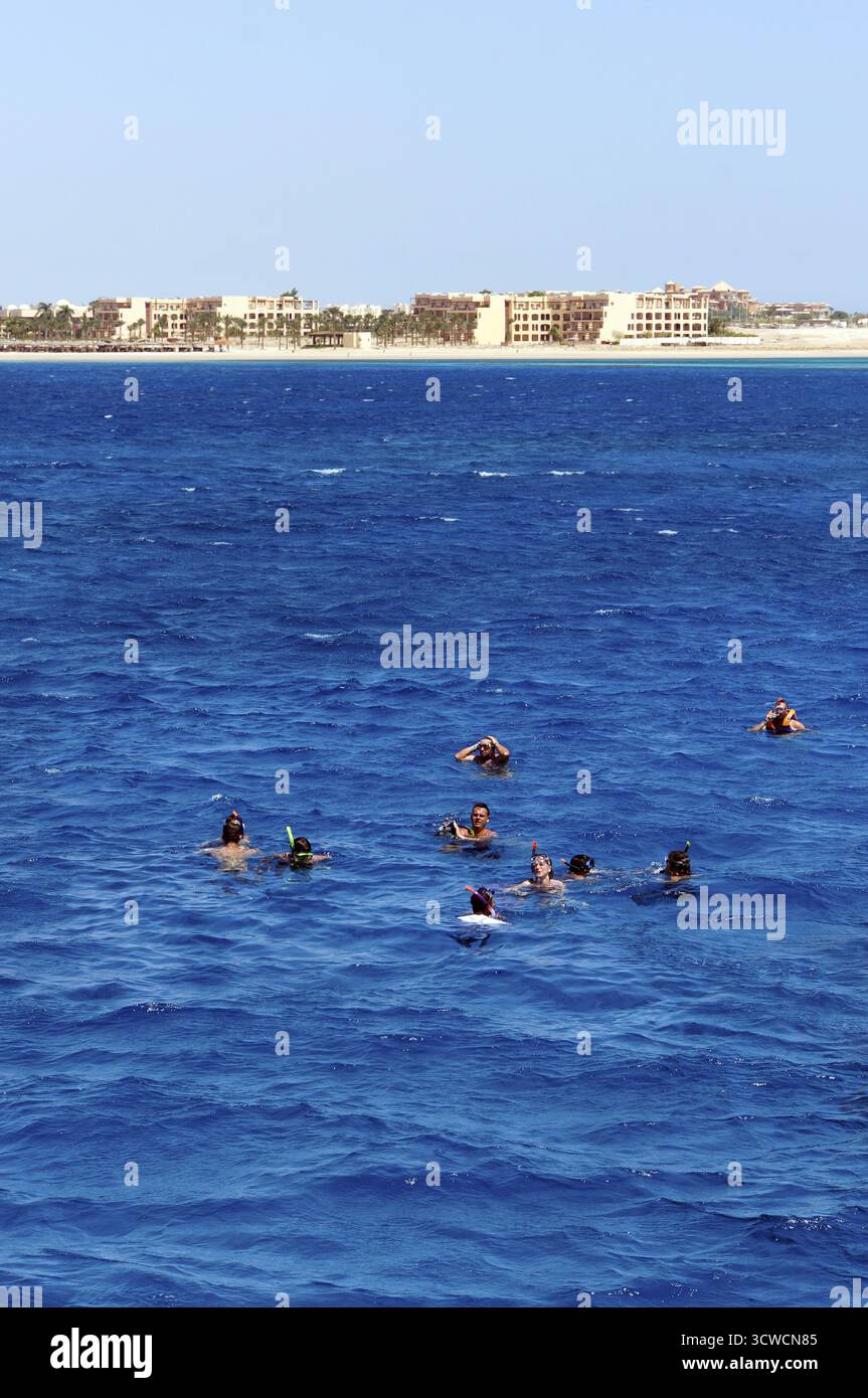 Plongée avec tuba sur le récif corallien, Safaga, Egypte Banque D'Images