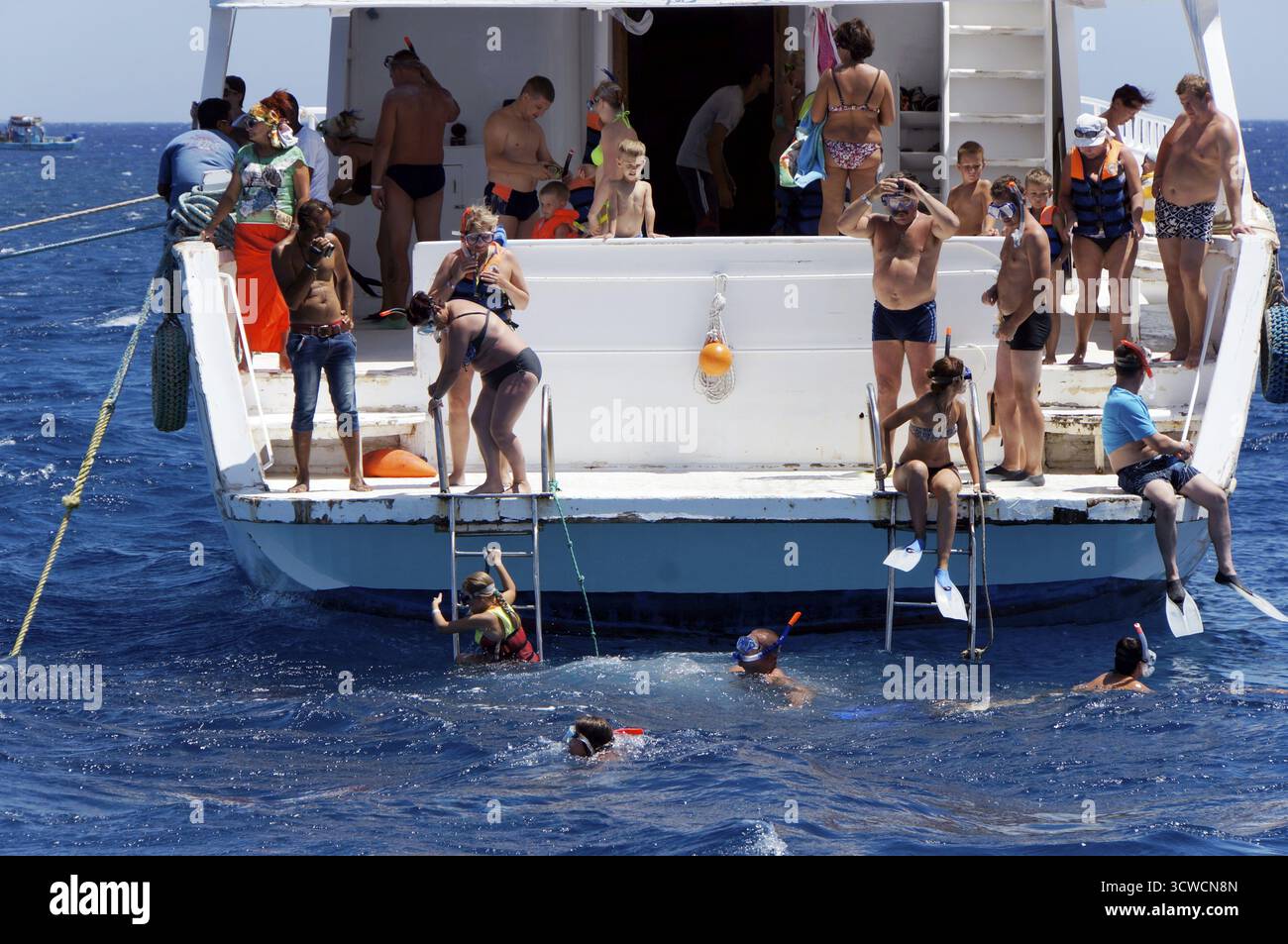 Plongée avec tuba sur le récif corallien, Safaga, Egypte Banque D'Images