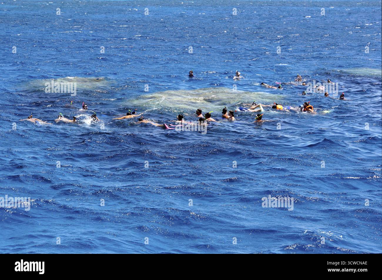 Plongée avec tuba sur le récif corallien, Safaga, Egypte Banque D'Images