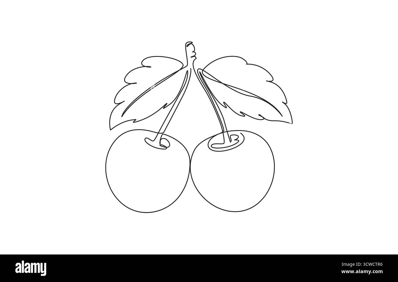 Dessin au trait de trois cerises avec des feuilles, une tranchée ouverte, deux cerises Continuous Line Art, cerise naturelle fruit Line art continu d'une ligne cerise Illustration de Vecteur