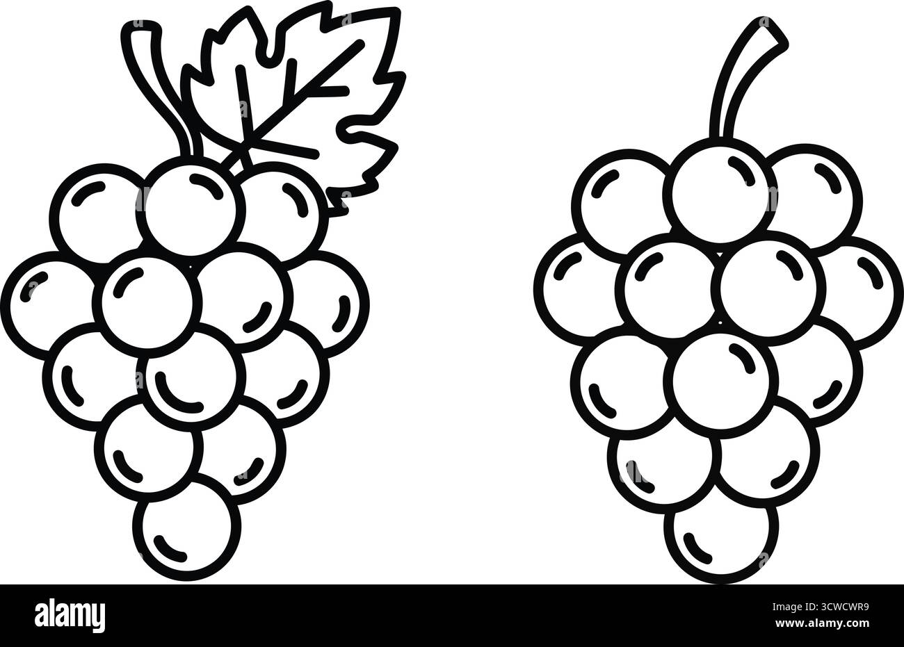 Deux grappes de raisins, dont une avec une feuille, présentant des fruits frais et juteux Illustration de Vecteur