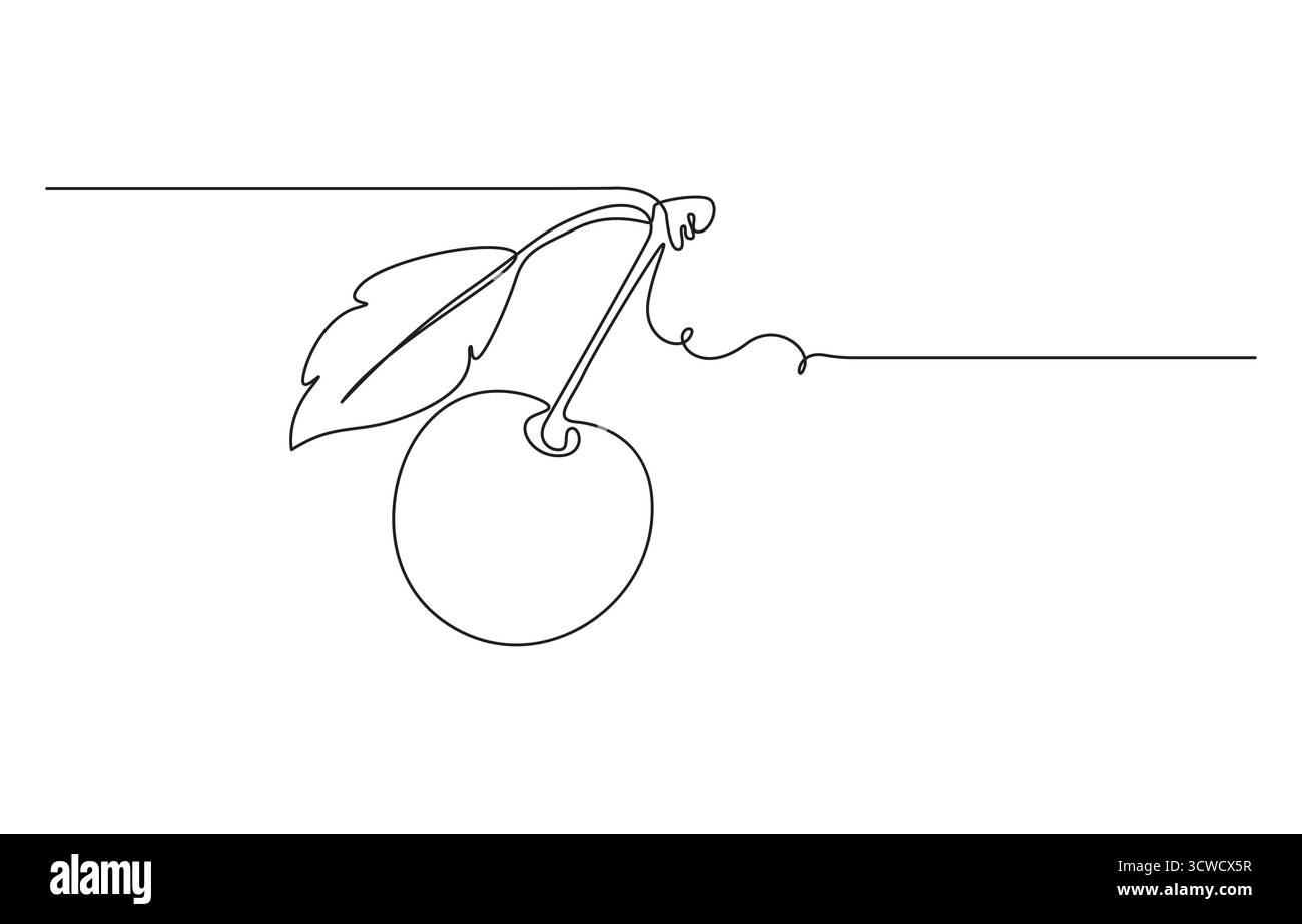 Dessin au trait de trois cerises avec des feuilles, une tranchée ouverte, deux cerises Continuous Line Art, cerise naturelle fruit Line art continu d'une ligne cerise Illustration de Vecteur