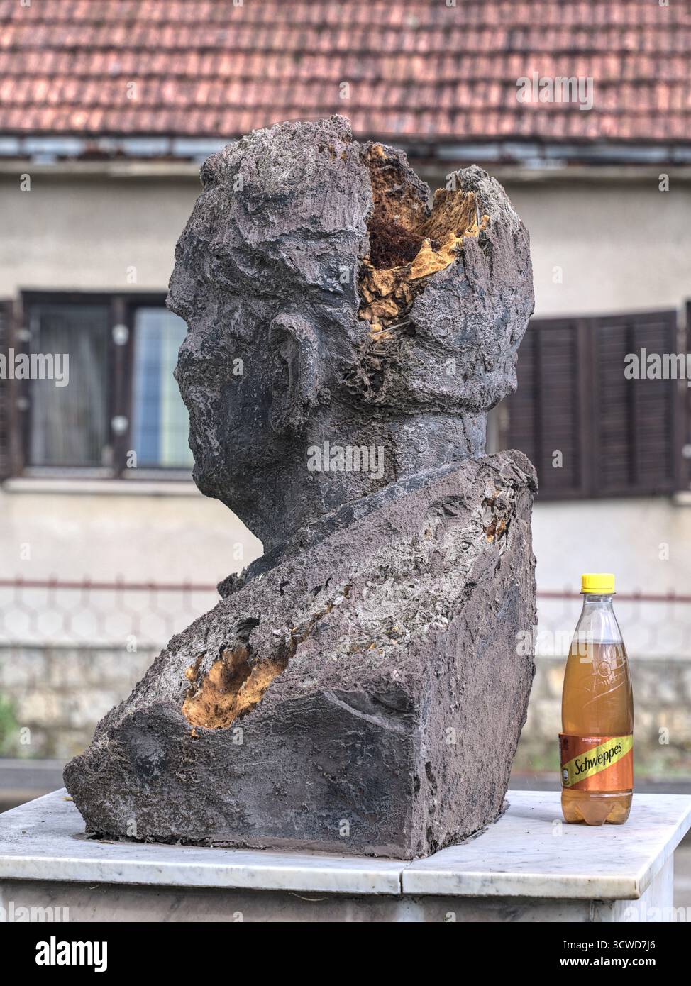 Bosnie-Herzégovine, Bihać (Mun.), Bihać : buste Tito dans la roseraie de Tito ('Bista Josipa Broza Tita u Park Titov ružičnjak') devant le Memori Banque D'Images