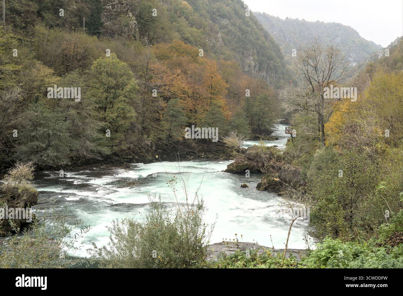 Bosnie-Herzégovine, Bihać (Mun.), Ćelije : cascade de Štrbački de la rivière Una ('Štrbački buk') Banque D'Images