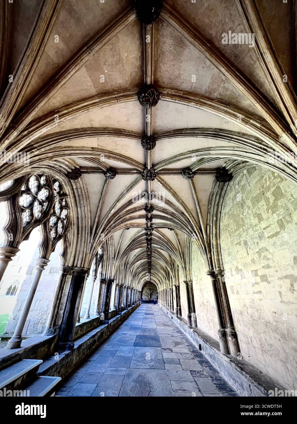 Photographie prise à l'intérieur des cloîtres de la cathédrale de Norwich. Un monument historique à Norwich, Royaume-Uni - Image de stock capturée avec un smartphone