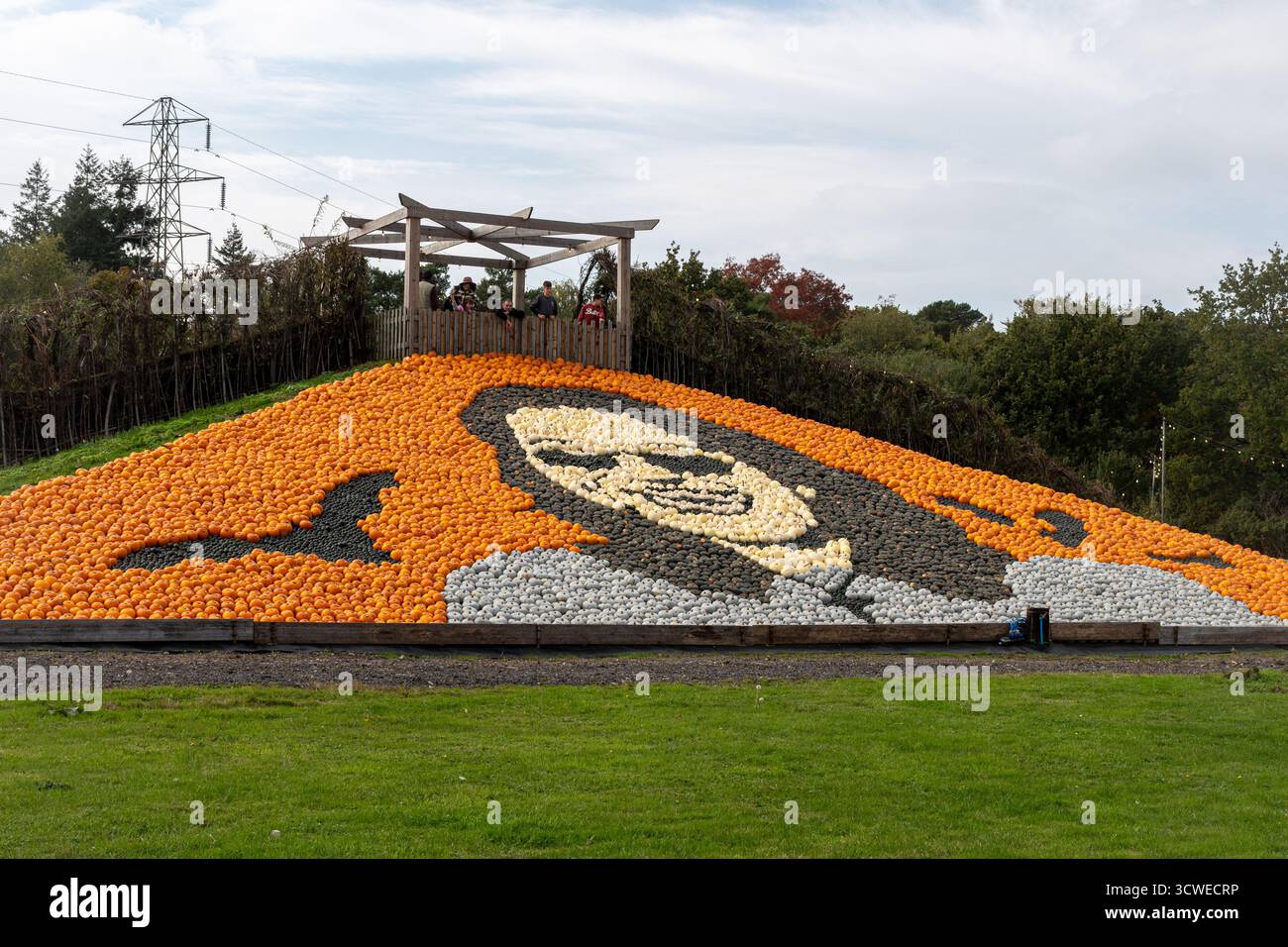 11 octobre 2025. Sunnyfields Farm Shop près de Totton, Southampton, Hampshire, Angleterre, Royaume-Uni. Le populaire événement Pumpkin Time a lieu de façon cuurente. Le festival annuel d'automne comprend des expositions étonnantes de citrouilles, y compris cette année une grande mosaïque de citrouilles d'Ozzy Osbourne honorant la star du rock décédée en juillet 2025. Banque D'Images