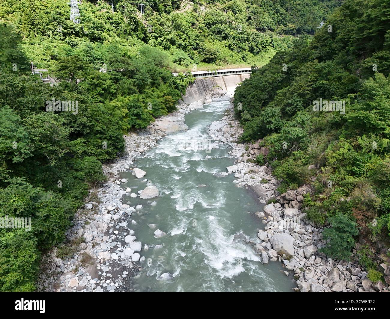 Une rivière avec un lit rocheux et une forêt verte en arrière-plan. L'eau coule rapidement et les rochers sont dispersés le long du lit de la rivière Banque D'Images