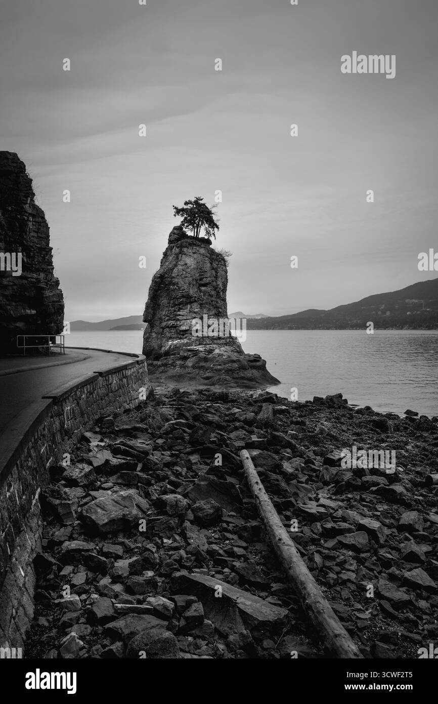 Une formation rocheuse unique s'élève de l'eau, ornée d'un petit arbre. La zone environnante a un rivage rocheux et un chemin le long du bord, set aga Banque D'Images