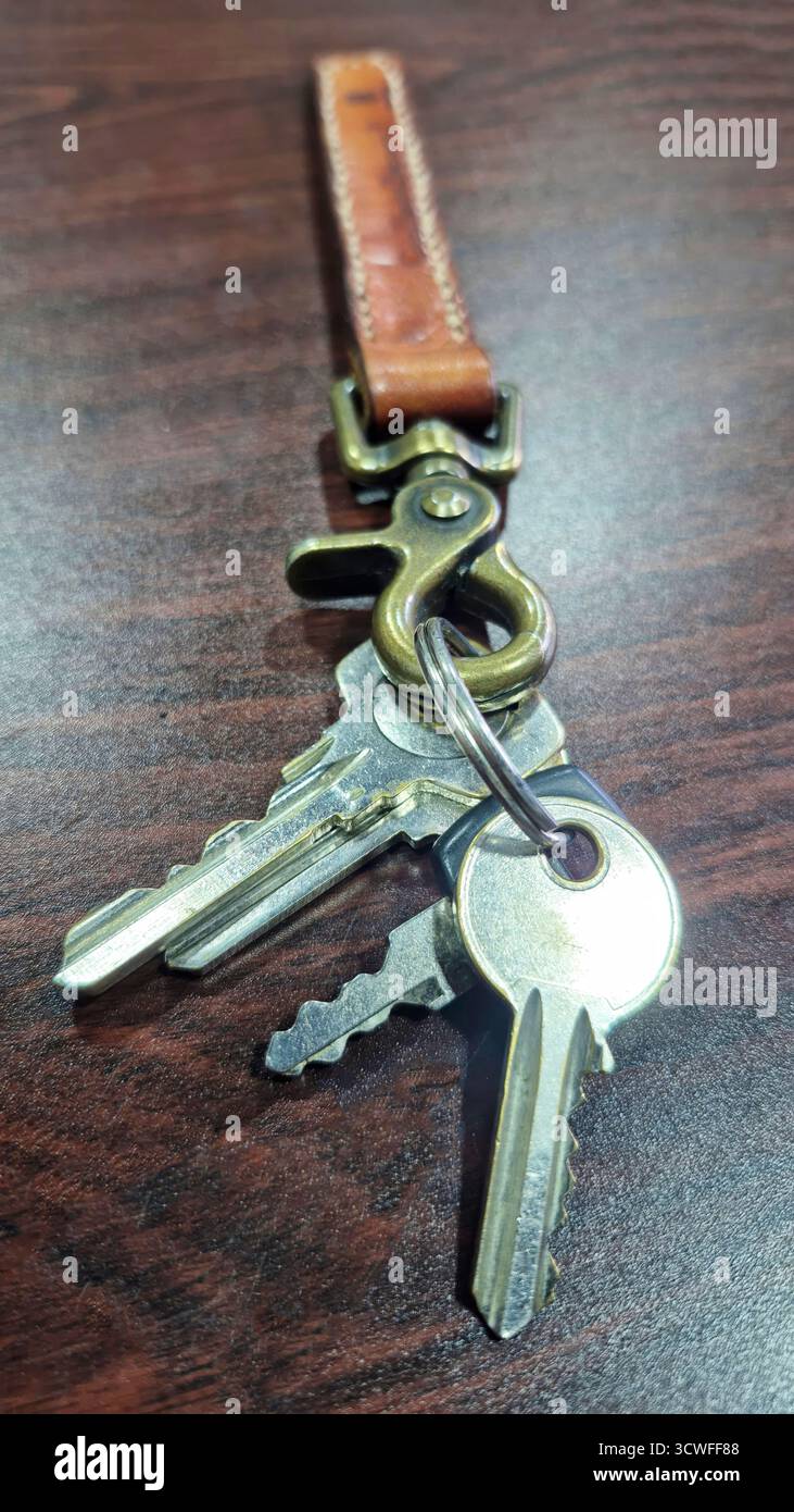 Photo en gros plan d'un ensemble de clés métalliques attachées à un porte-clés en laiton et à un fermoir, reliées à un bracelet en cuir marron. Les touches sont placées sur un woo foncé Banque D'Images
