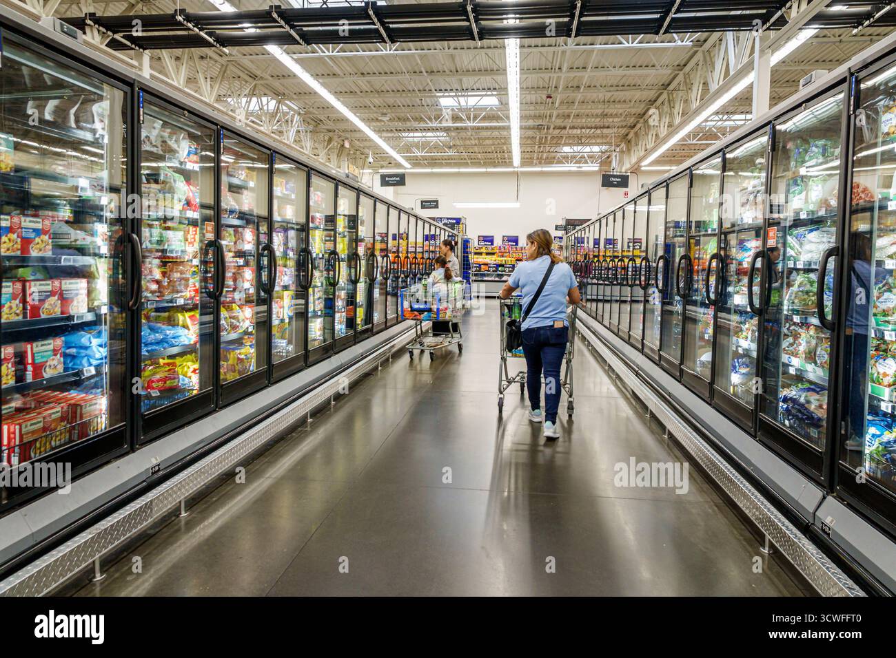 Miami Doral Florida, Walmart Supercenter, grand magasin de rabais, congélateurs à portes vitrées pour allée des aliments surgelés, femmes acheteurs adultes poussant des chariots, HISP Banque D'Images