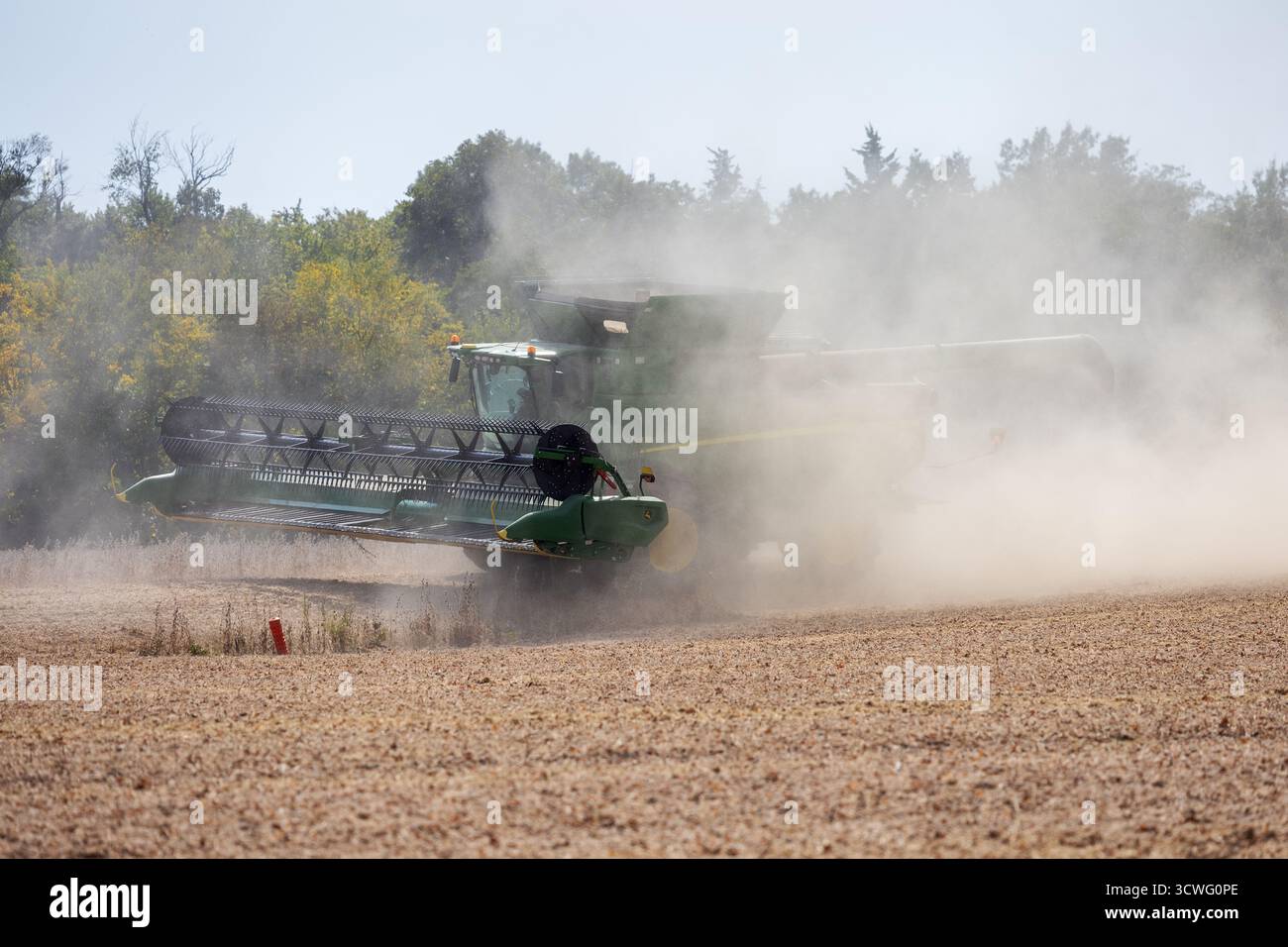 Récolte du soja près de Sperry, Iowa par un après-midi chaud et sec d'automne. Banque D'Images
