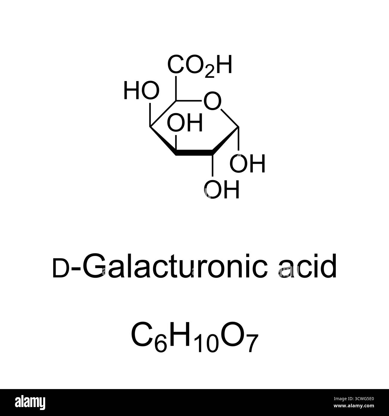 Acide d-galacturonique, formule chimique et structure. D-galacturonopyranose, acide de sucre et forme oxydée du d-galactose. Composant principal de la pectine. Banque D'Images