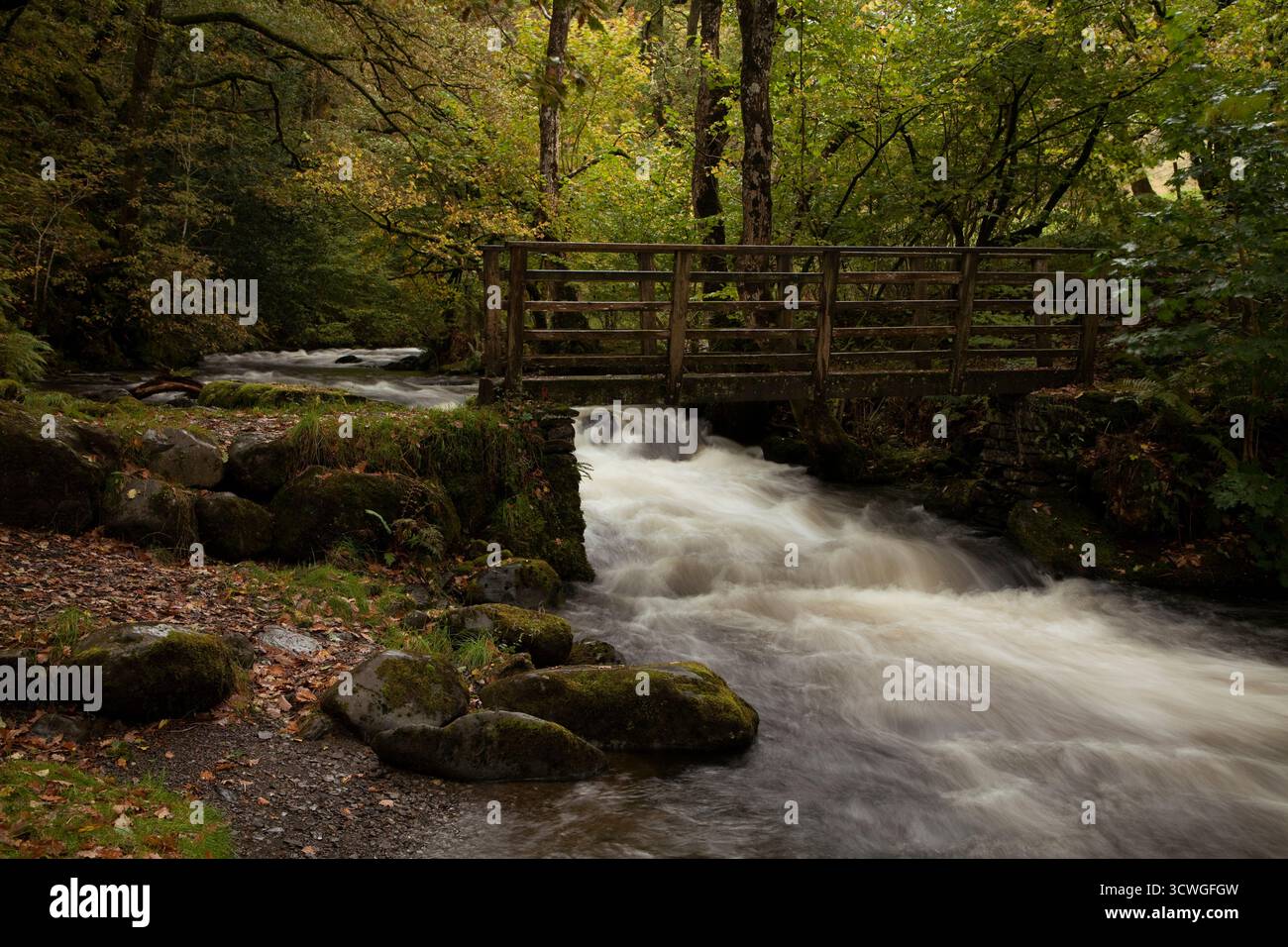 Passerelle en bois au-dessus de Glenderaterra Beck près de Threlkeld dans le Lake District anglais en automne Banque D'Images