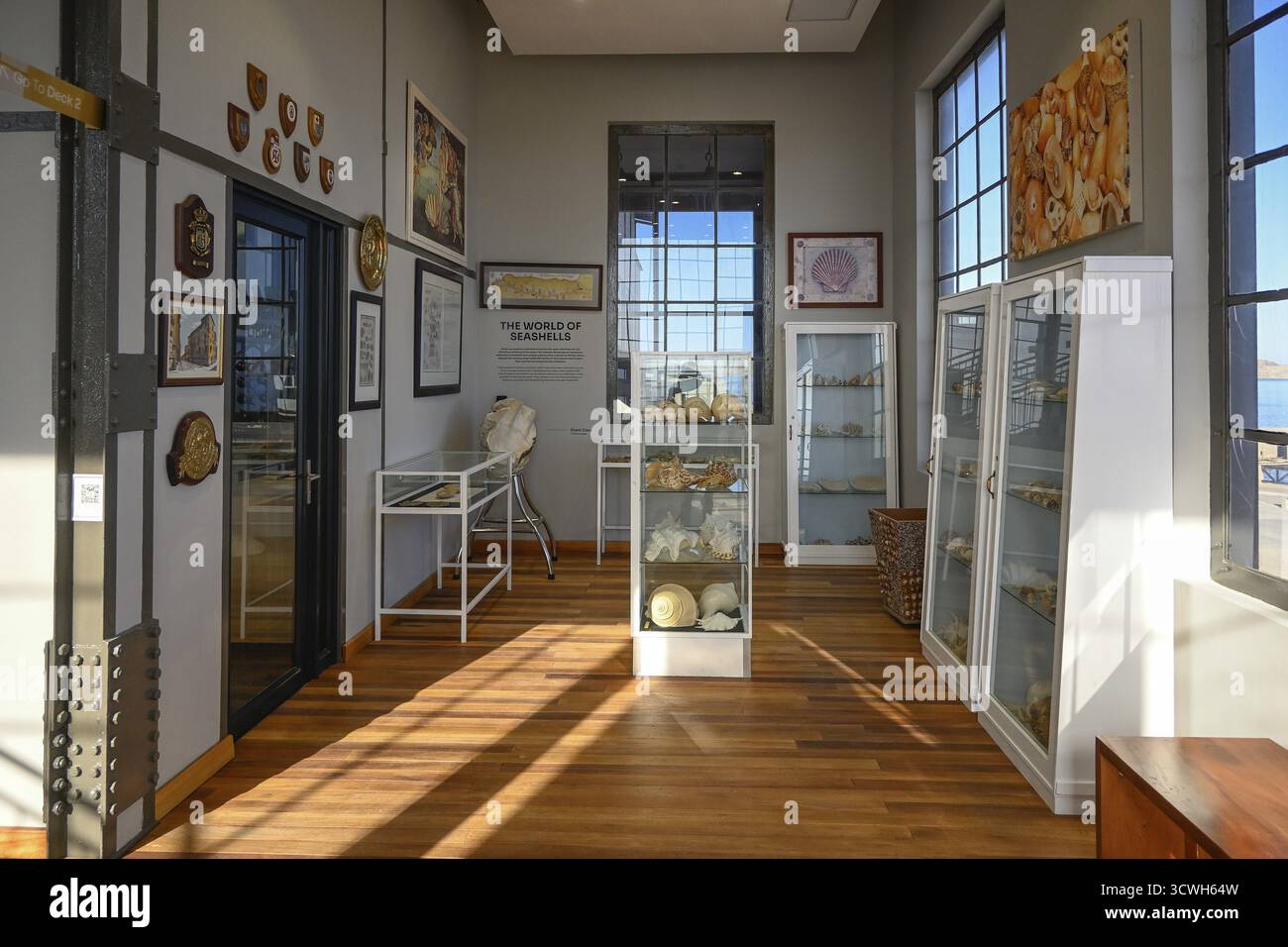 Salle d'exposition du Musée maritime de Namibie, le plus grand musée maritime d'Afrique, ancienne centrale électrique, Luederitz, région de Karas, s/O Banque D'Images