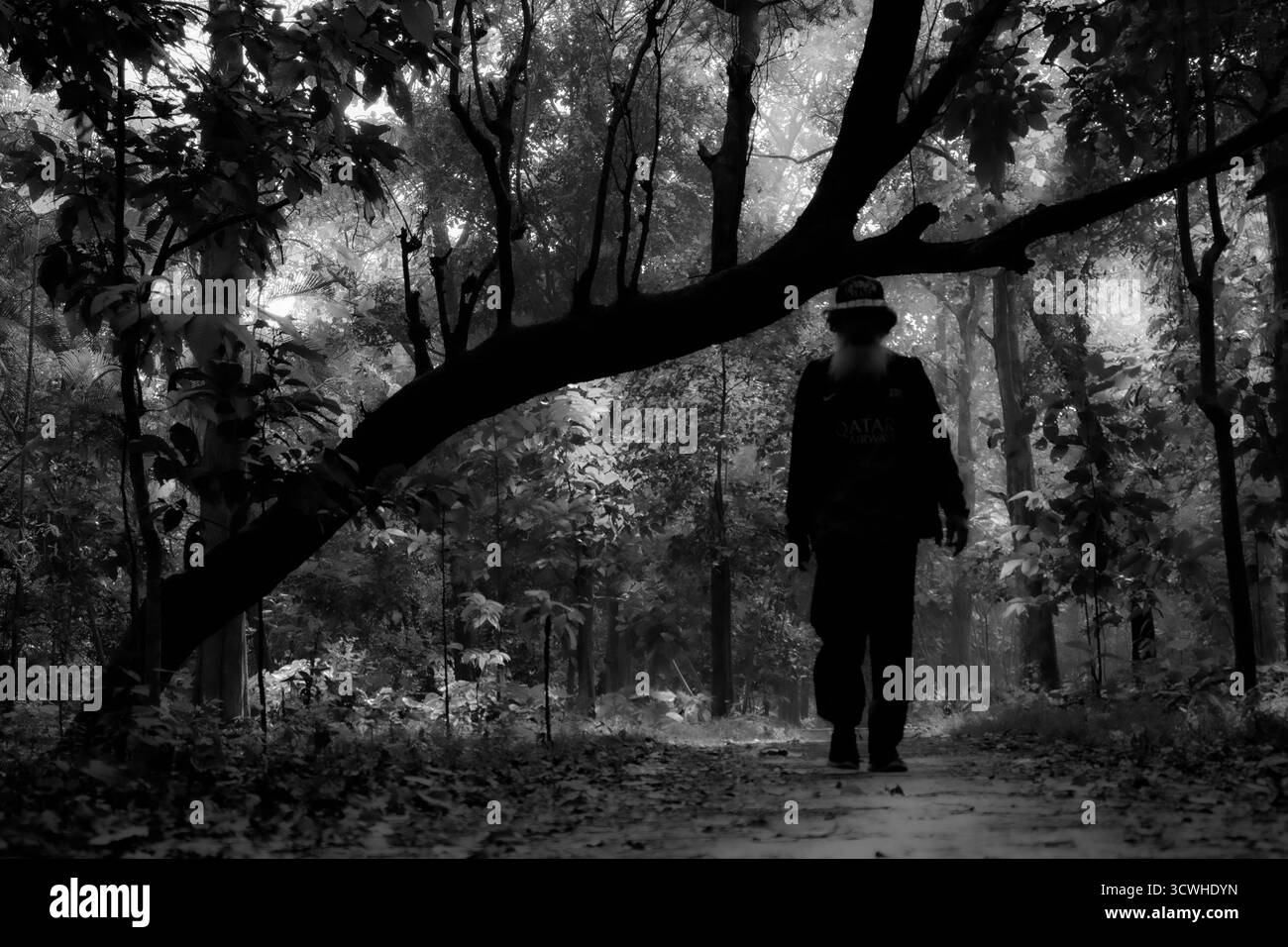 19 janvier 2025 : un homme âgé marche seul à travers un sentier de forêt brumeuse à Dhaka, au Bangladesh. Il réprime la solitude, et la relation de nature humaine. Banque D'Images 19 janvier 2025 : un homme âgé marche seul à travers un sentier de forêt brumeuse à Dhaka, au Bangladesh. Il réprime la solitude, et la relation de nature humaine. Banque D'Images