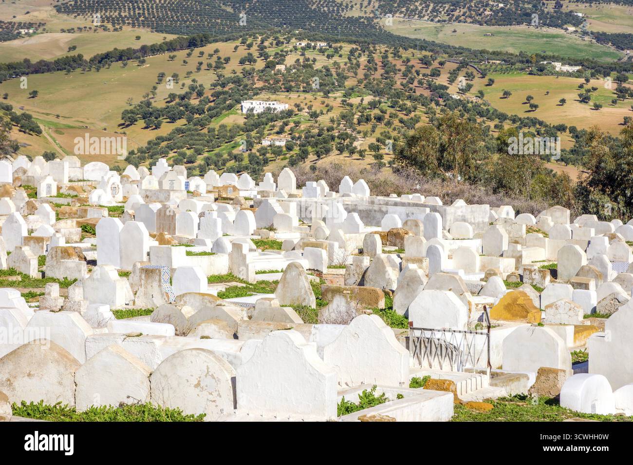 Cimetière Musulman sur la colline à l'extérieur de Fès, Maroc Banque D'Images
