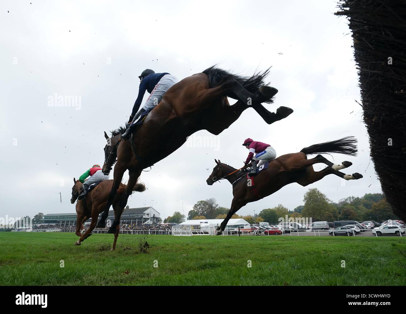 Speculatrix monté par Sean Bowen (Far Side) sur leur chemin pour remporter la course des novices Tom Malone Bloodstock lors du Dragonbet Welsh Racing Festival à l'hippodrome de Chepstow. Date de la photo : dimanche 12 octobre 2025. Banque D'Images